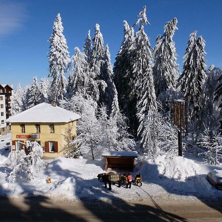 Borovets Apartment, Villa Park Eksteriør billede