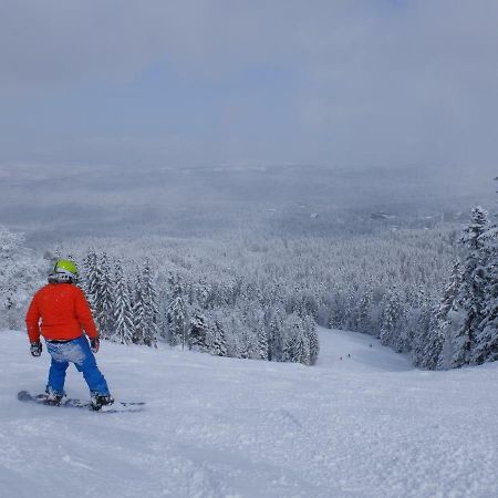 Borovets Apartment, Villa Park Eksteriør billede