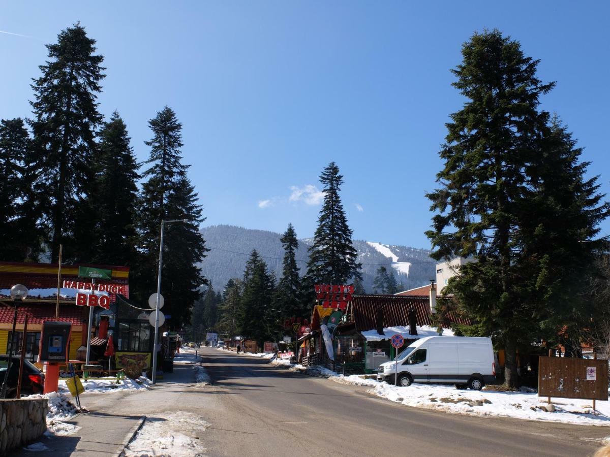 Borovets Apartment, Villa Park Eksteriør billede